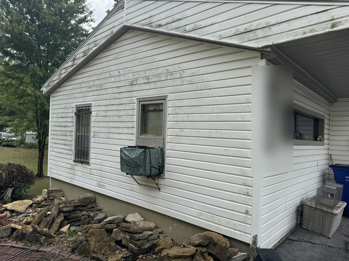 Vinyl-siding cleaning before cleaning