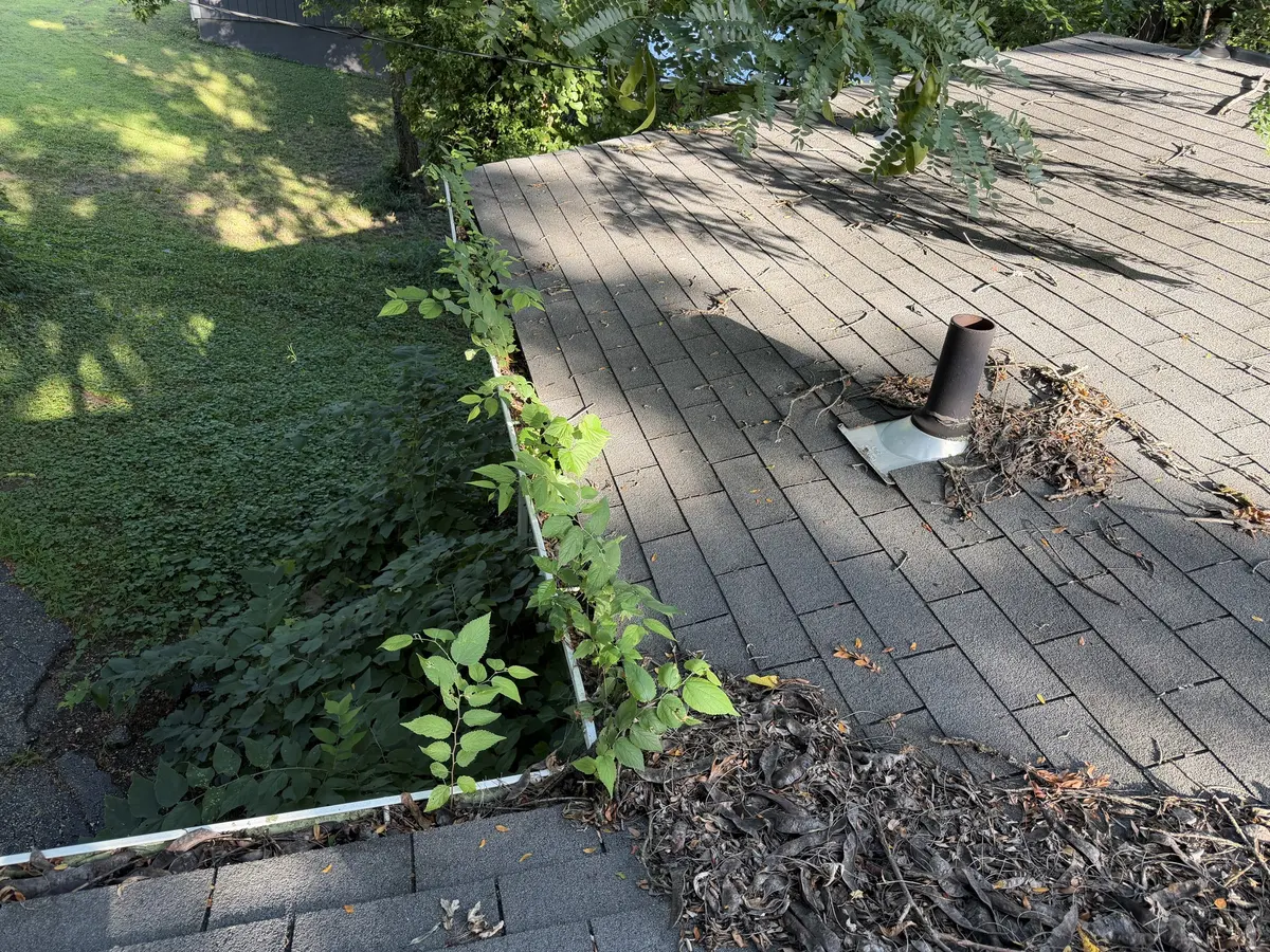 Residential gutter cleaning before cleaning